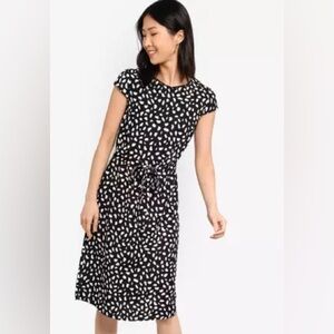Printed Dress w Belt - NWT- Small